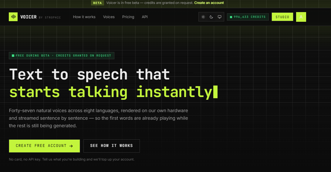 Voicer website